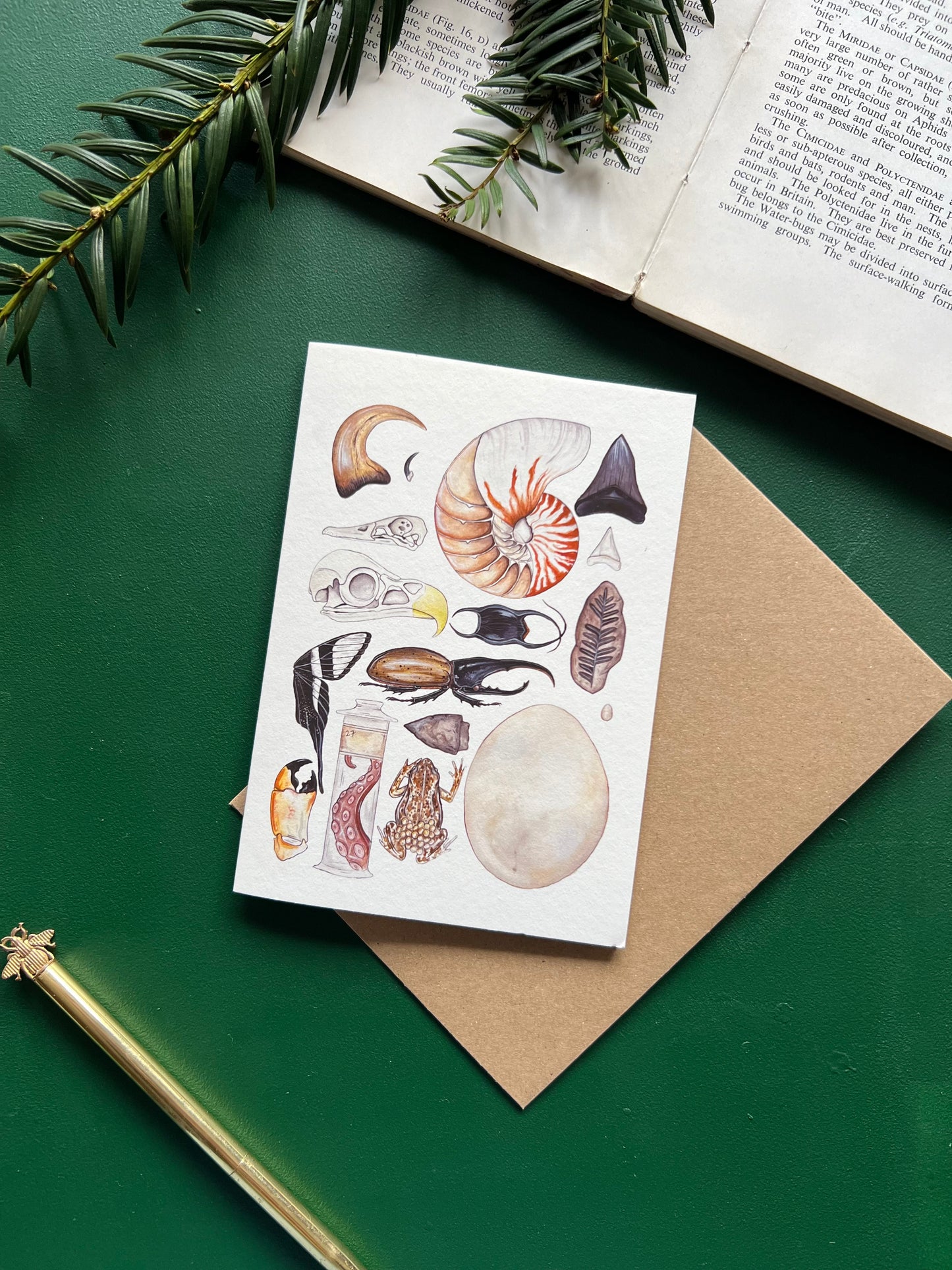 Natural Curiosities Card