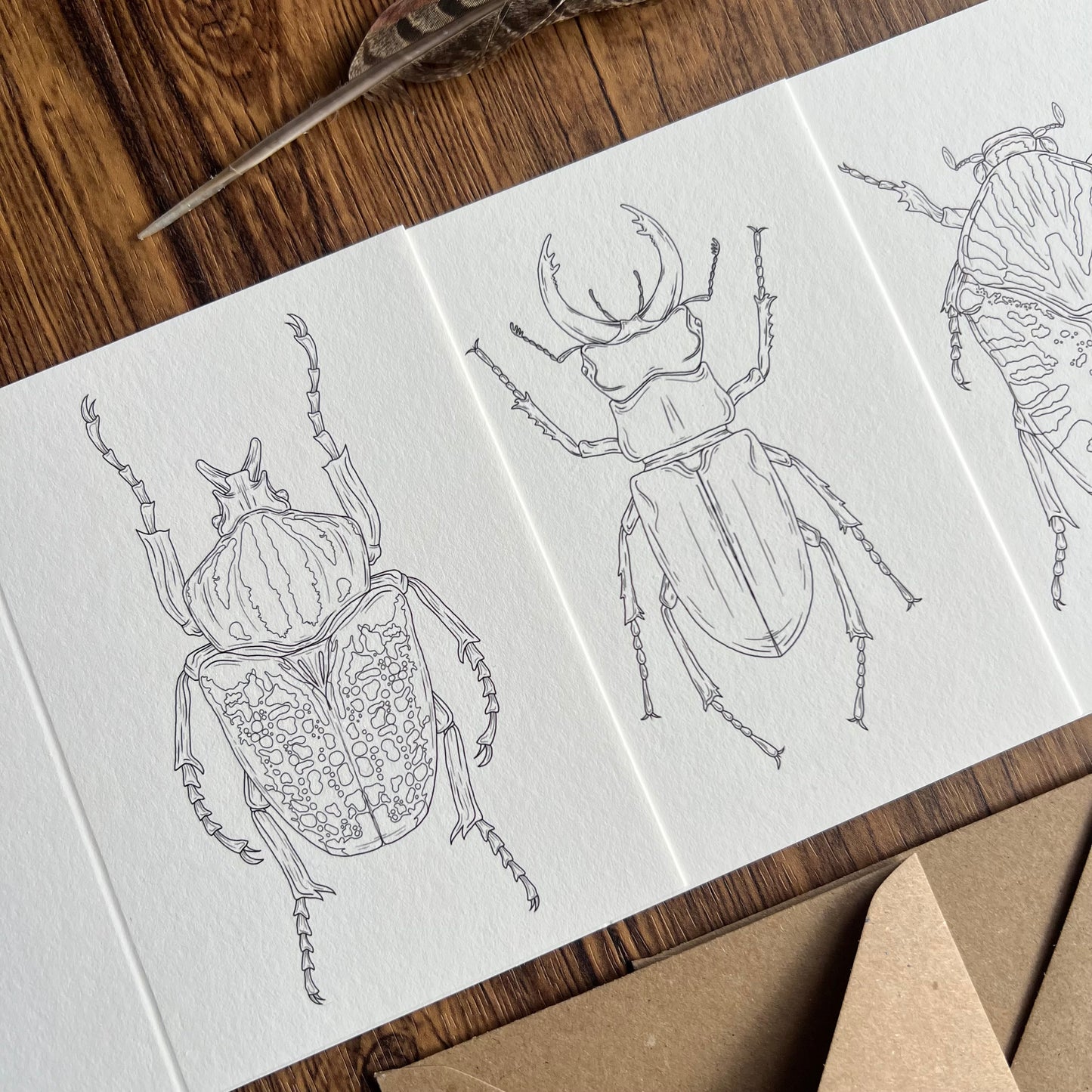 Beetle Colouring in Card Set