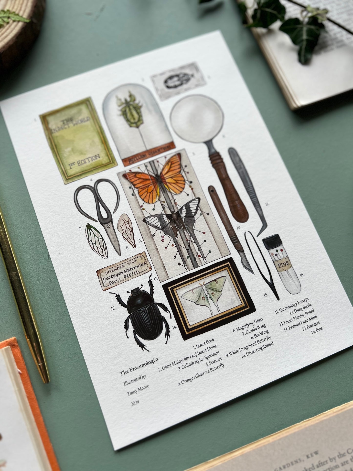 The Entomologist Print