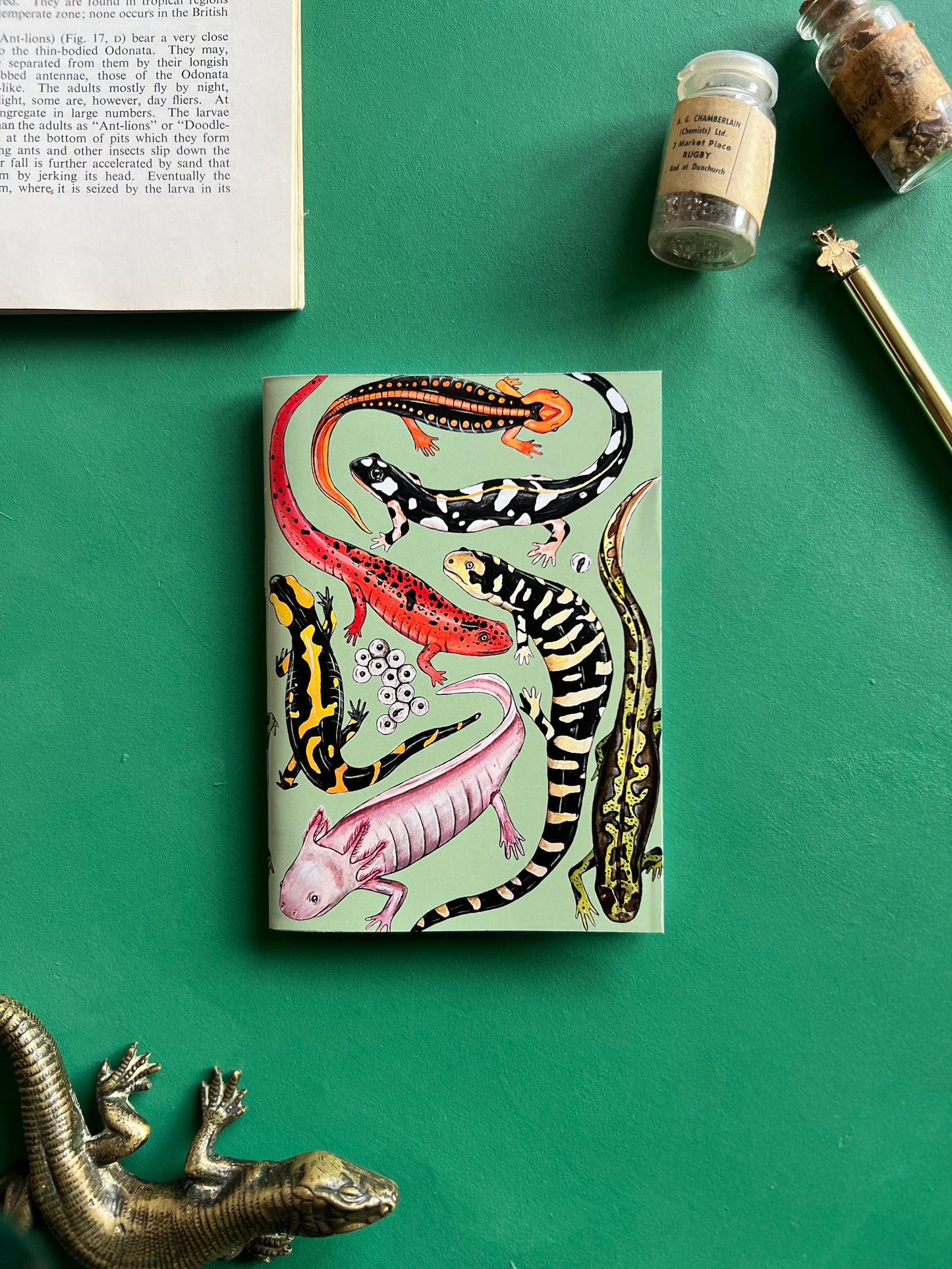 Salamander Pocket Notebook