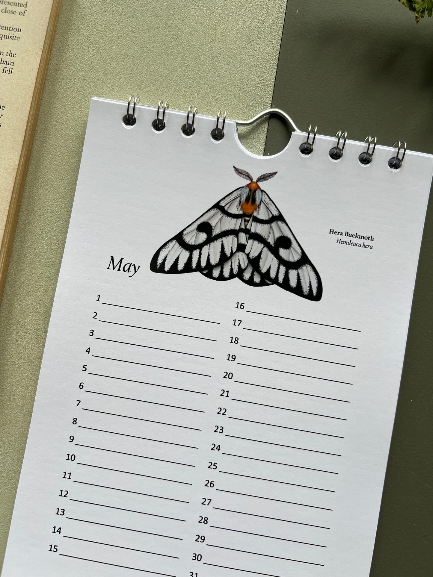 Butterfly and Moth Birthday and Other Important Dates Calendar, Perpetual Calendar