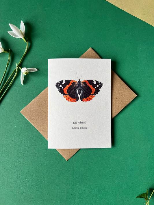 Red Admiral Card