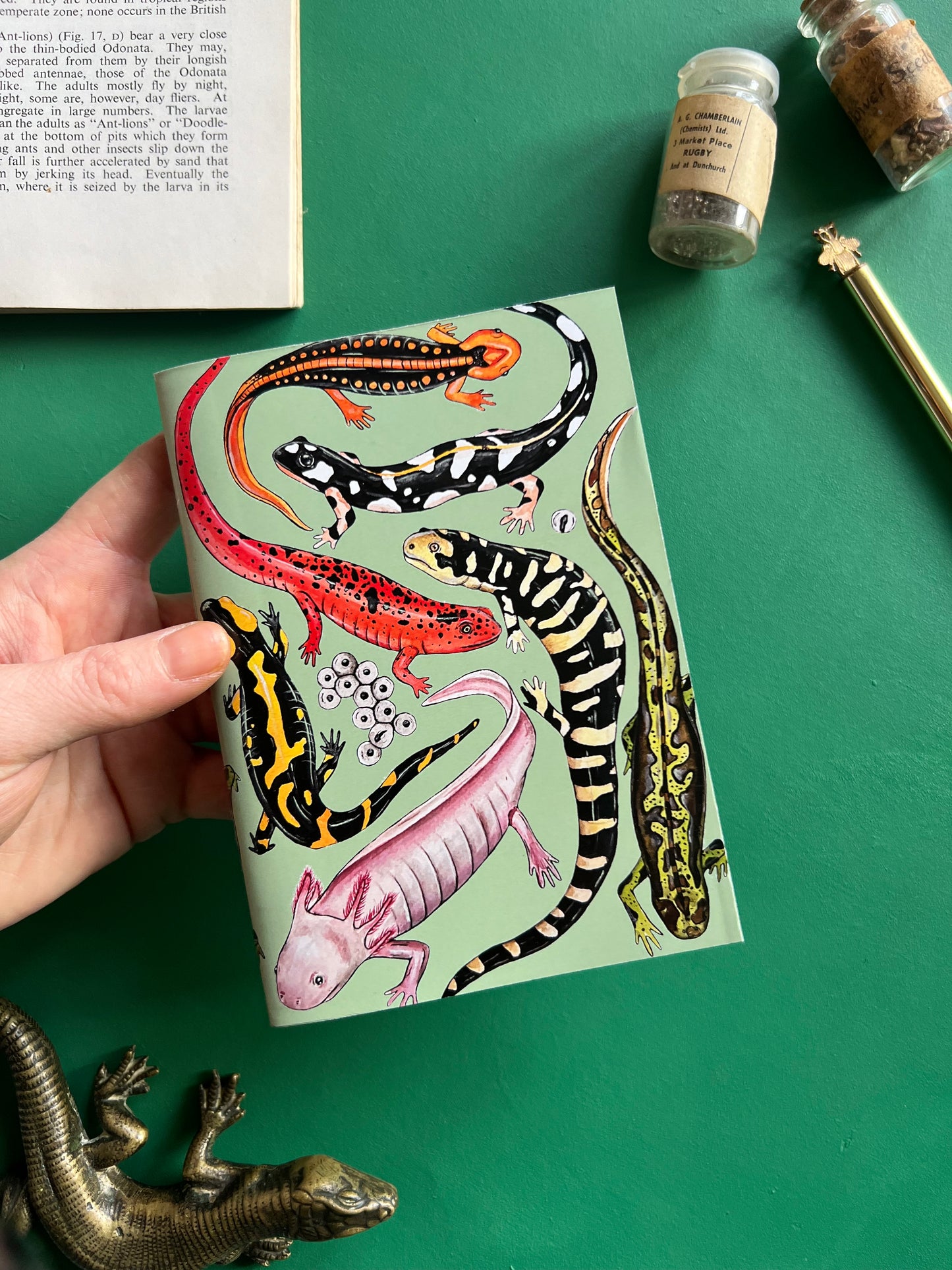 Salamander Pocket Notebook