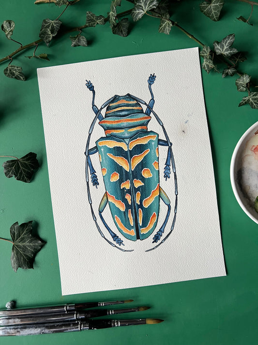 Jewel Longhorn Beetle