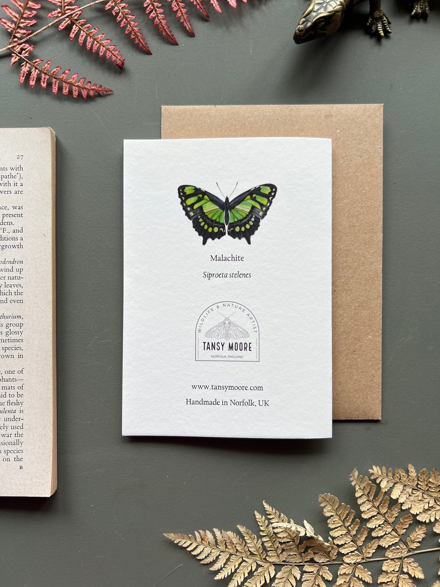 Malachite Butterfly Card