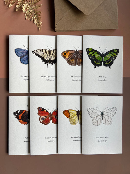 Butterfly Card Set