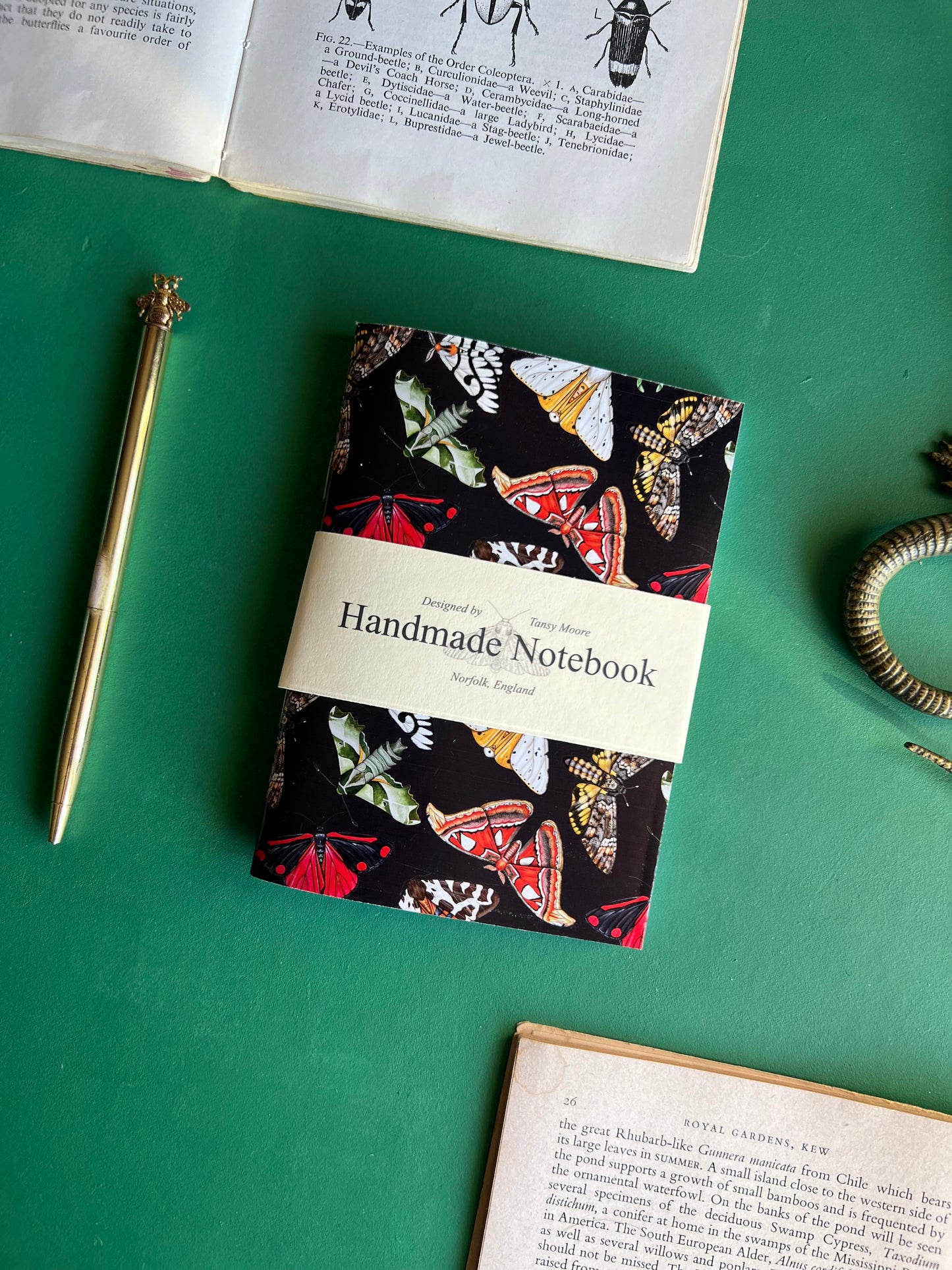 Insect Pocket Notebook Set