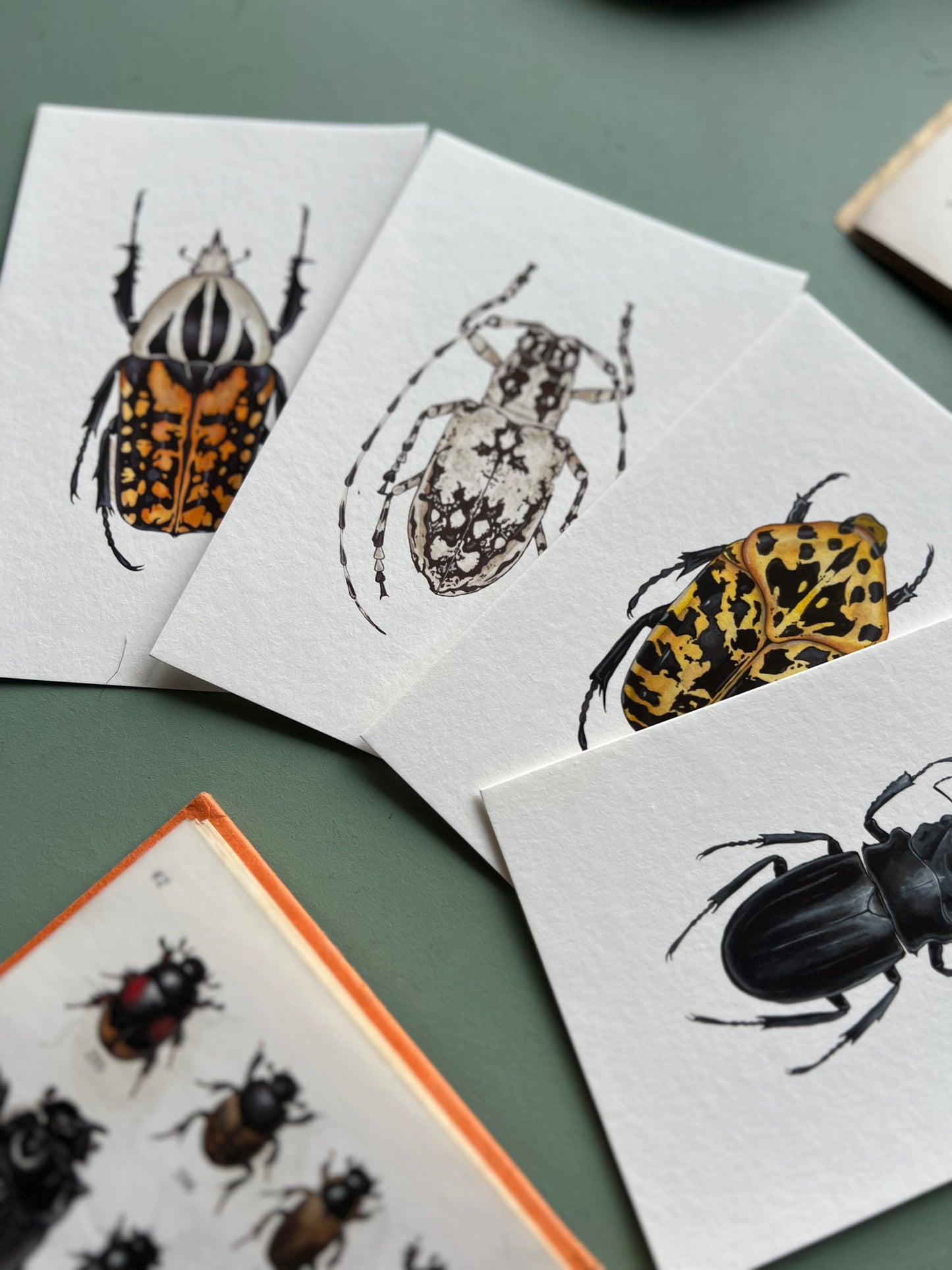 Beetle Print Set