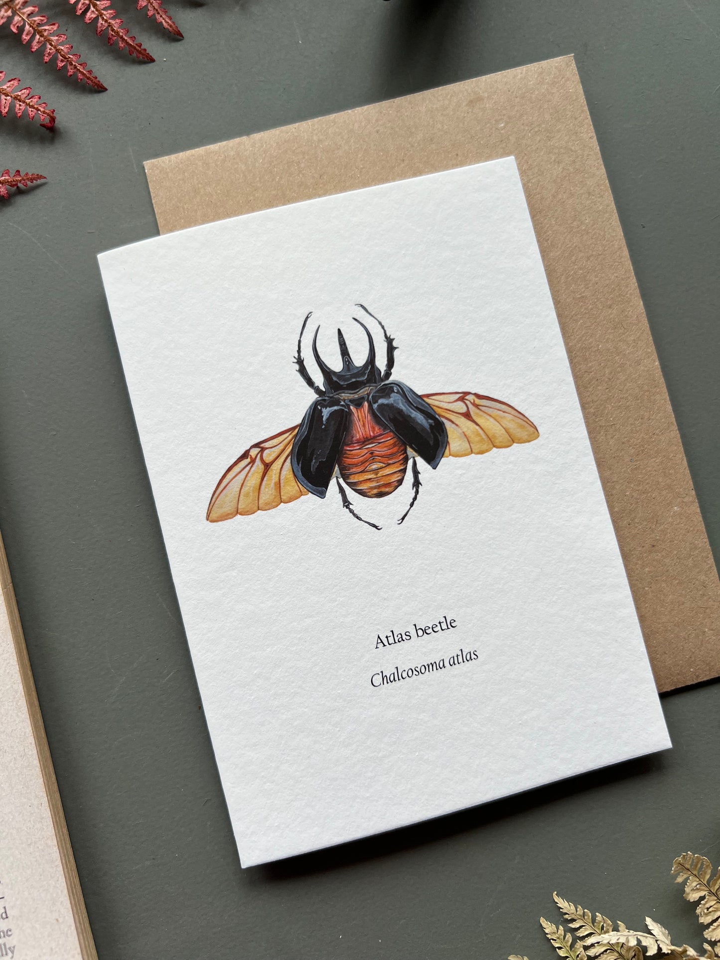 Atlas Beetle Card