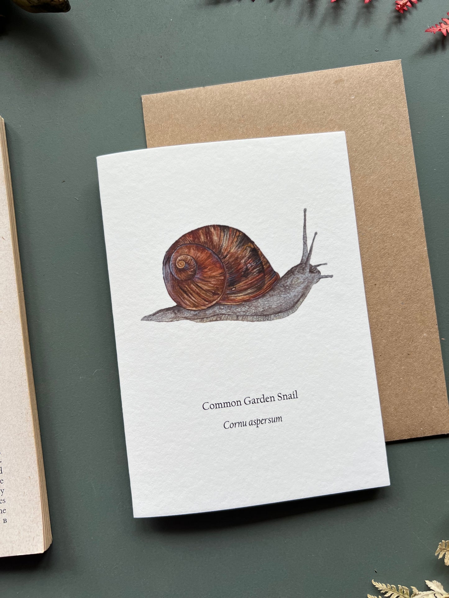 Garden Snail Card