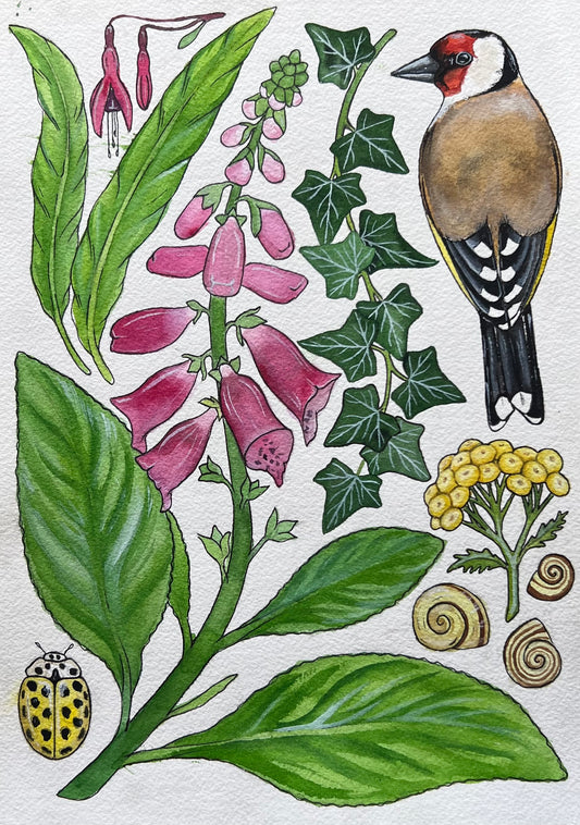 Wild Garden