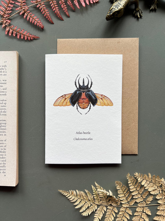 Atlas Beetle Card