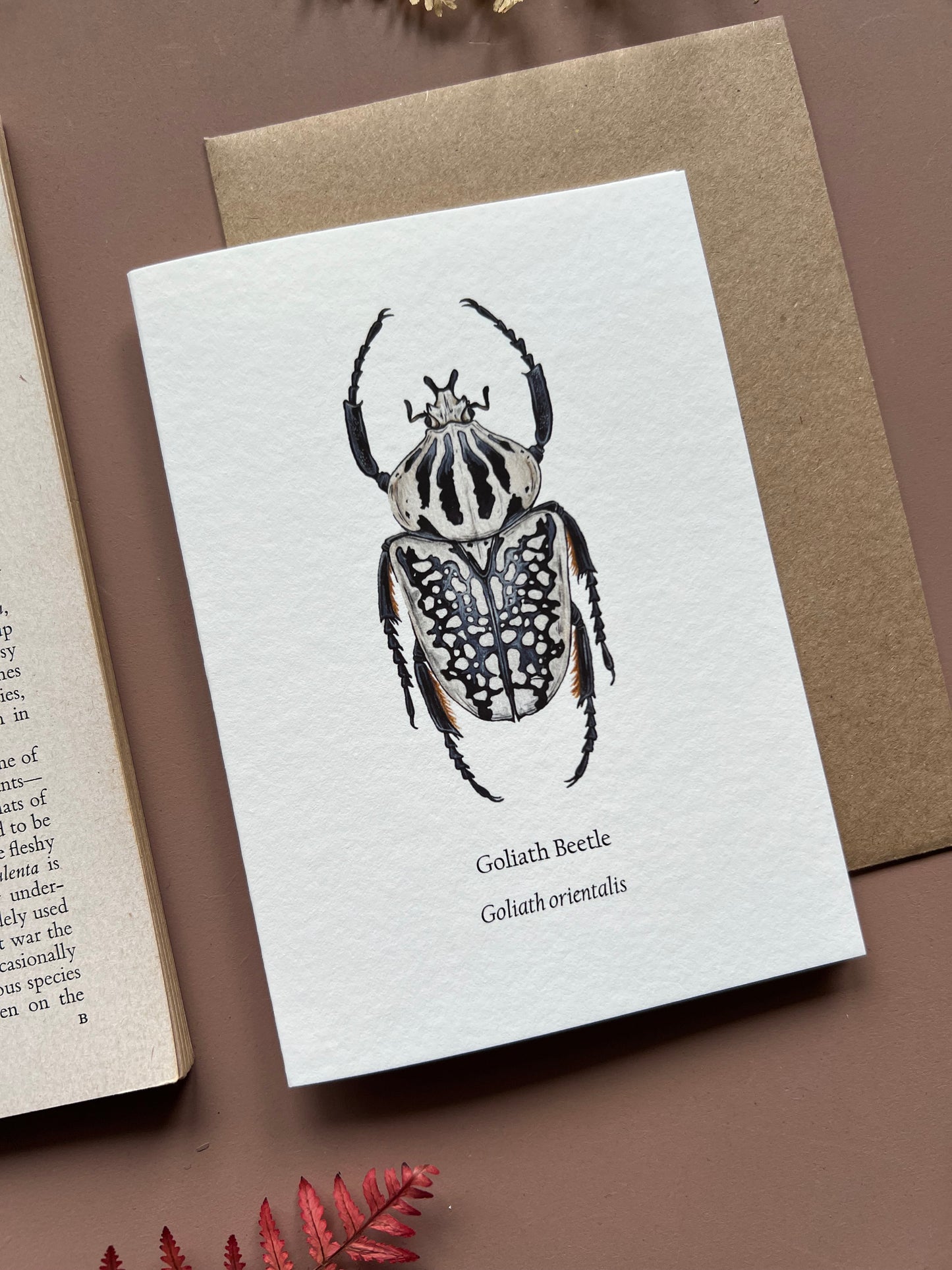 Goliath Beetle Card