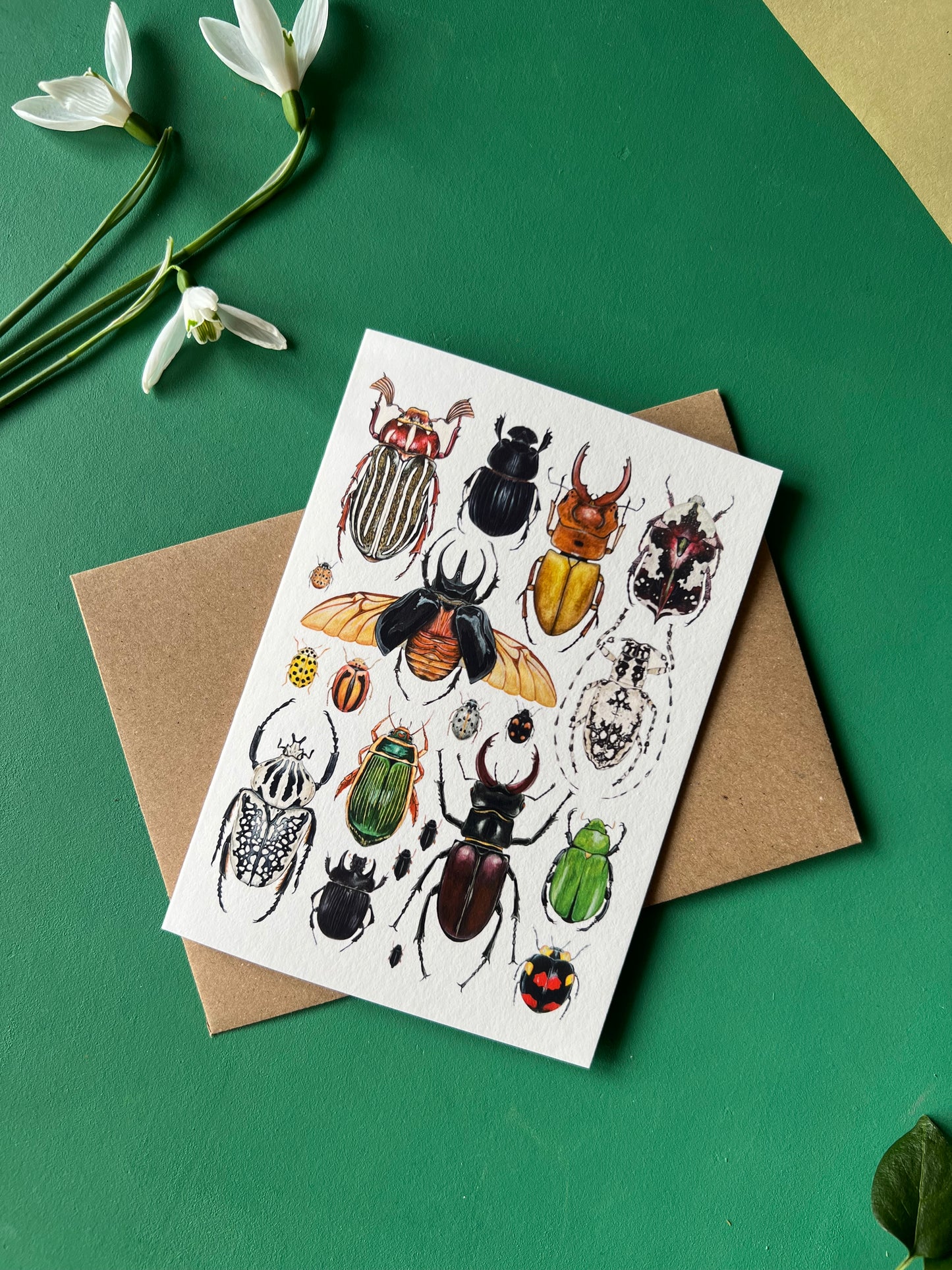 Beetles Card