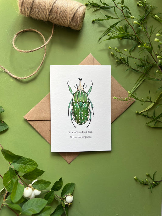 African Fruit Beetle Card