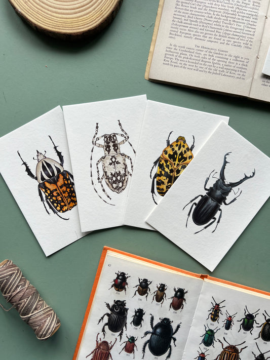 Beetle Print Set