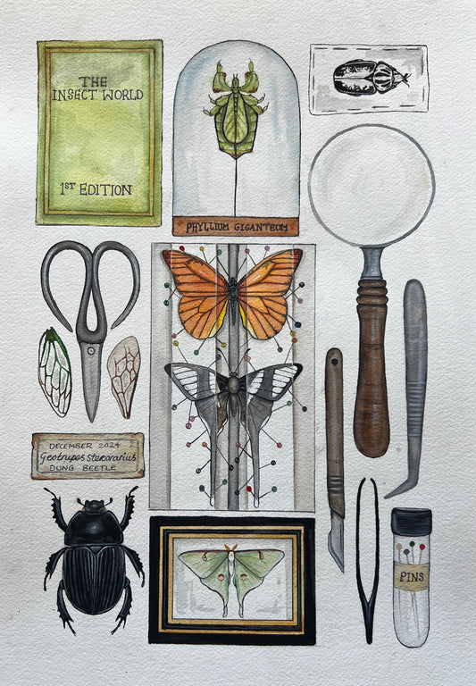 The Entomologist 11.7” x 16.5”
