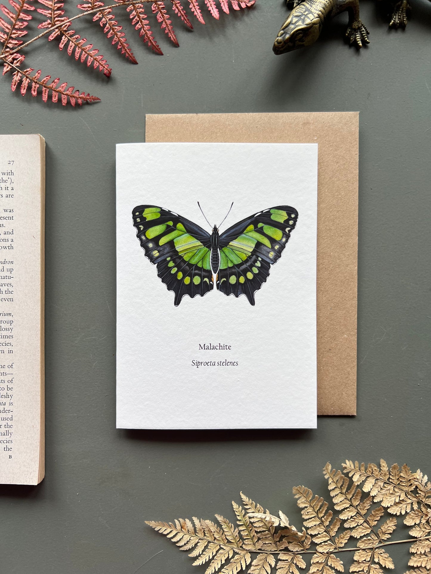 Malachite Butterfly Card