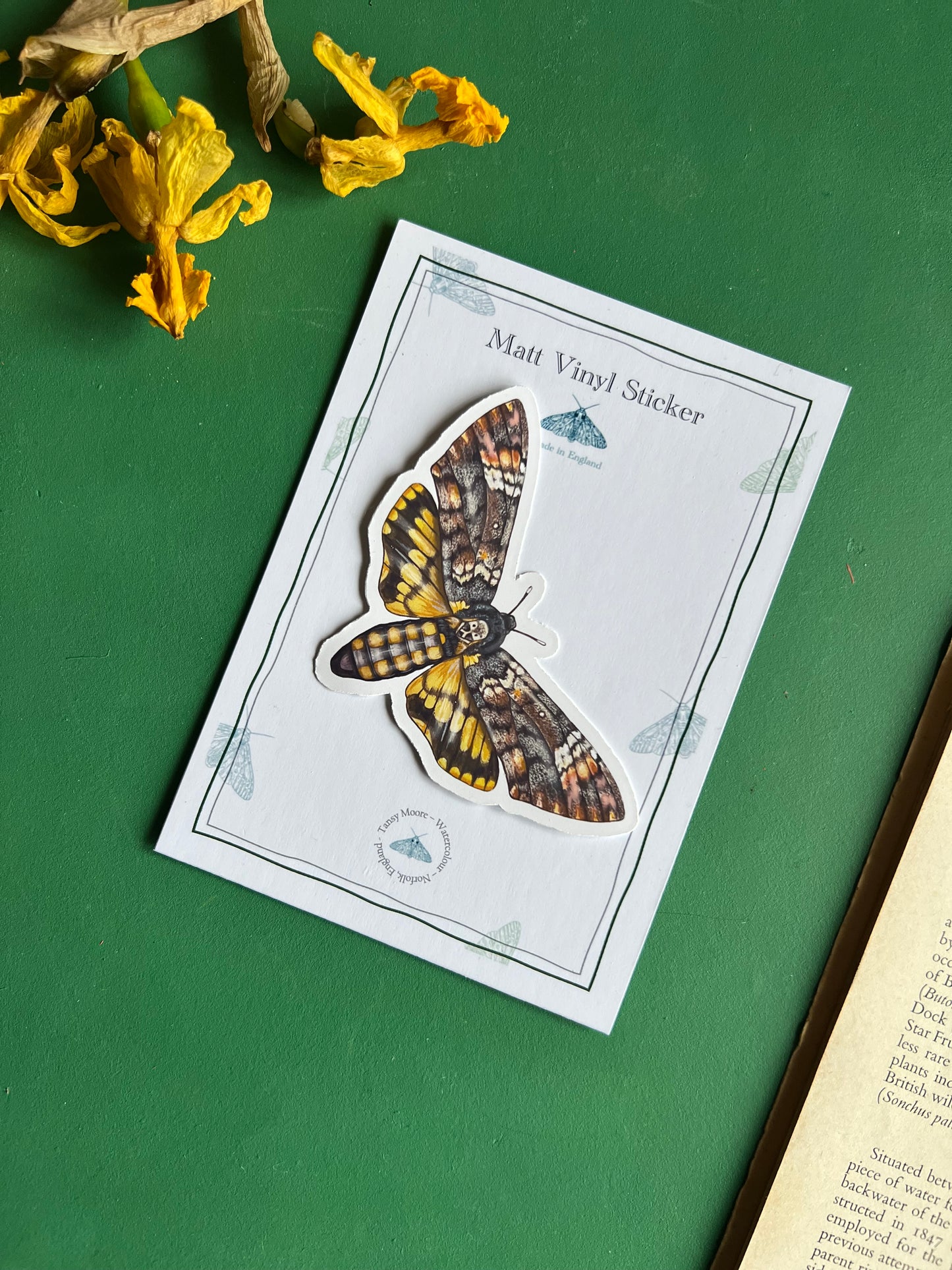 Deaths-head Hawkmoth Sticker