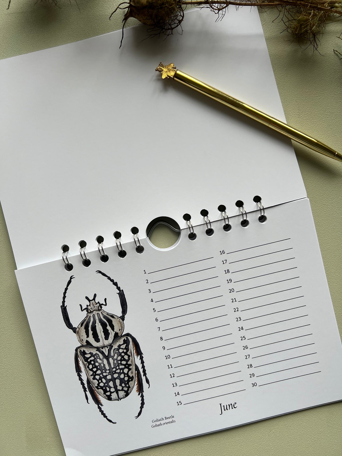 Beetle Birthday and Other Important Dates Calendar, Perpetual Calendar