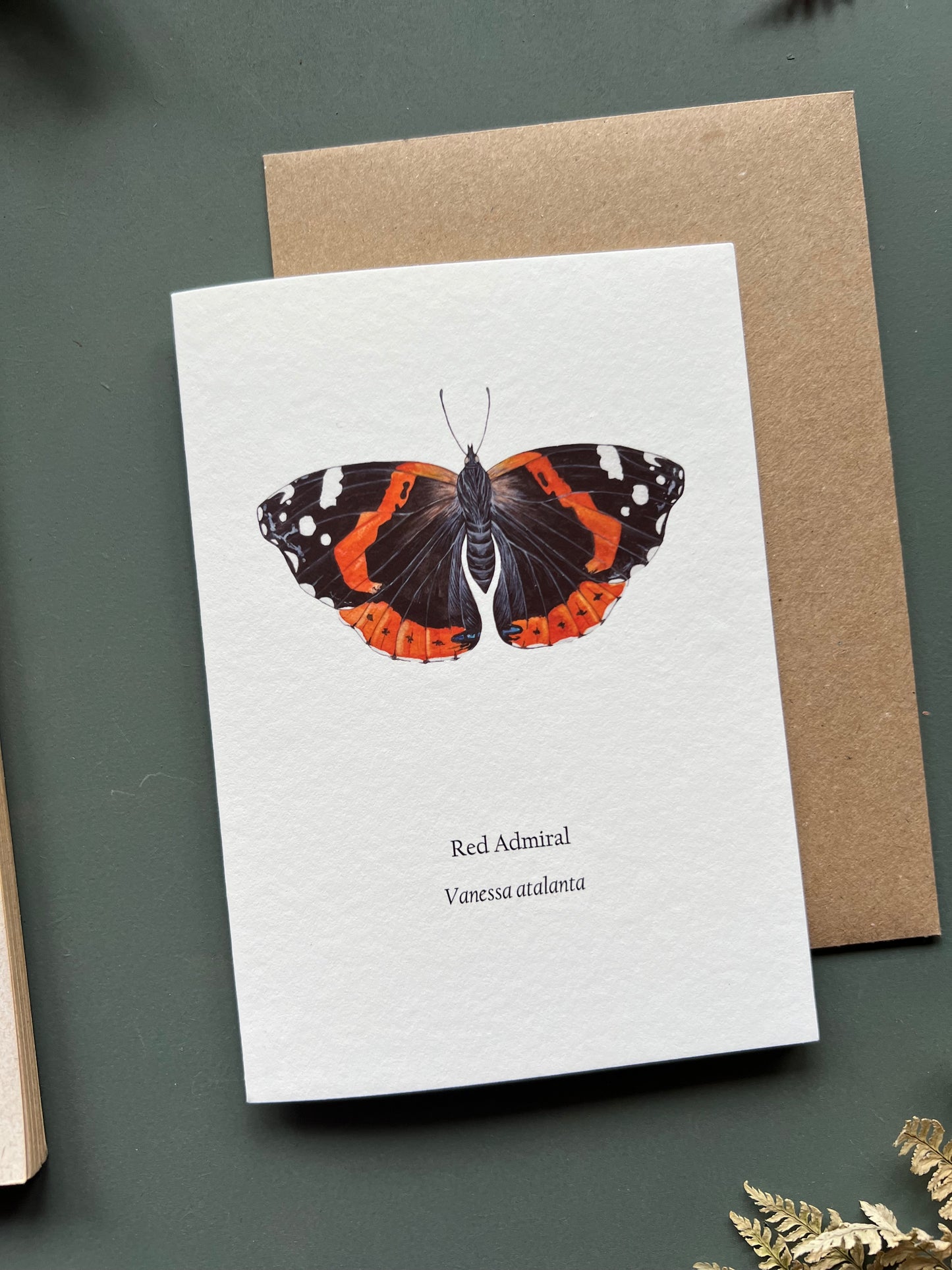 Red Admiral Card