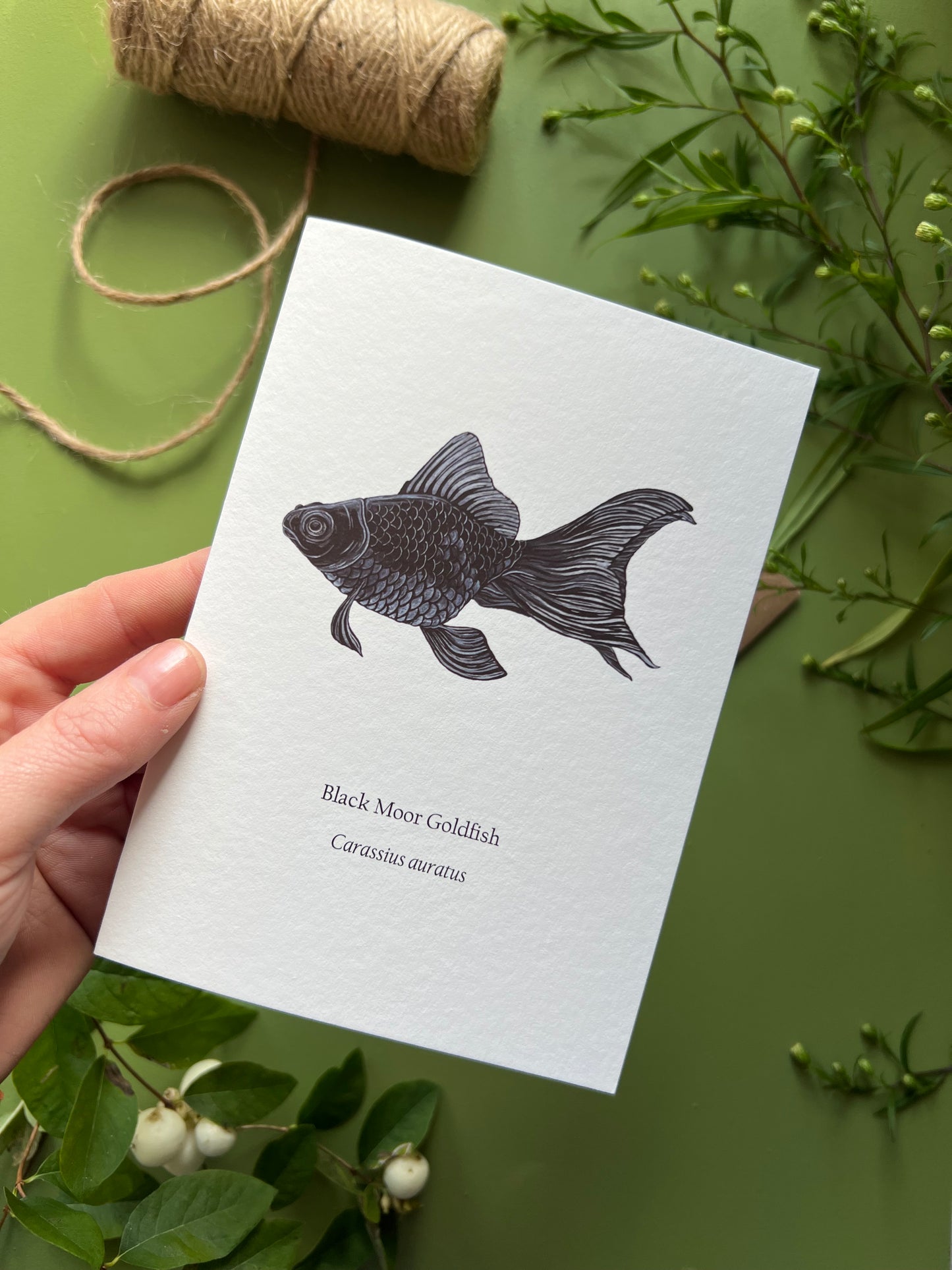 Black Moor Goldfish Card