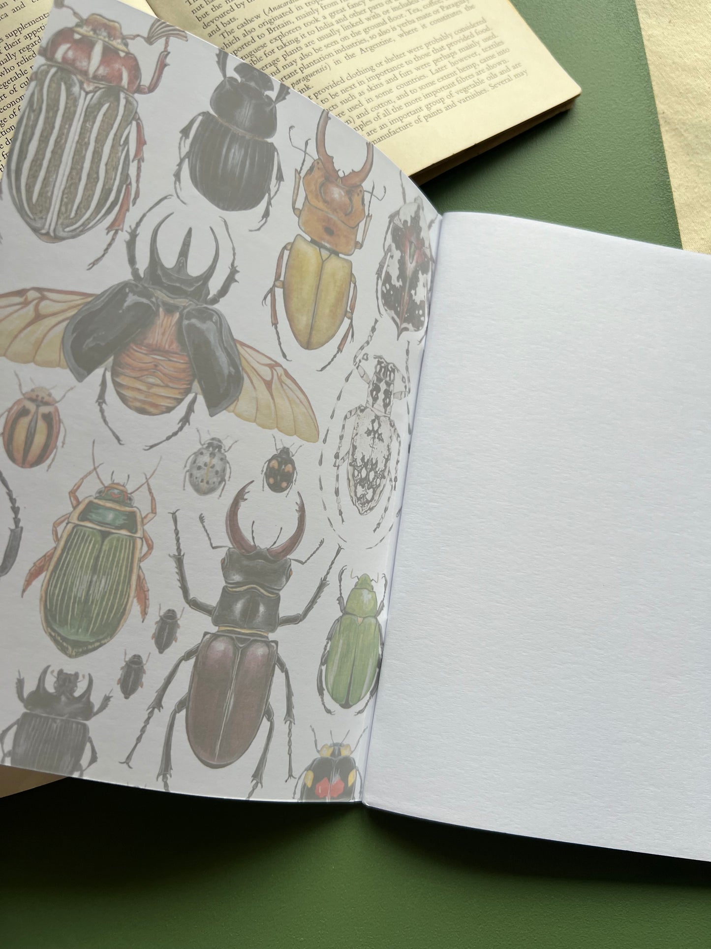 Beetle Notebook