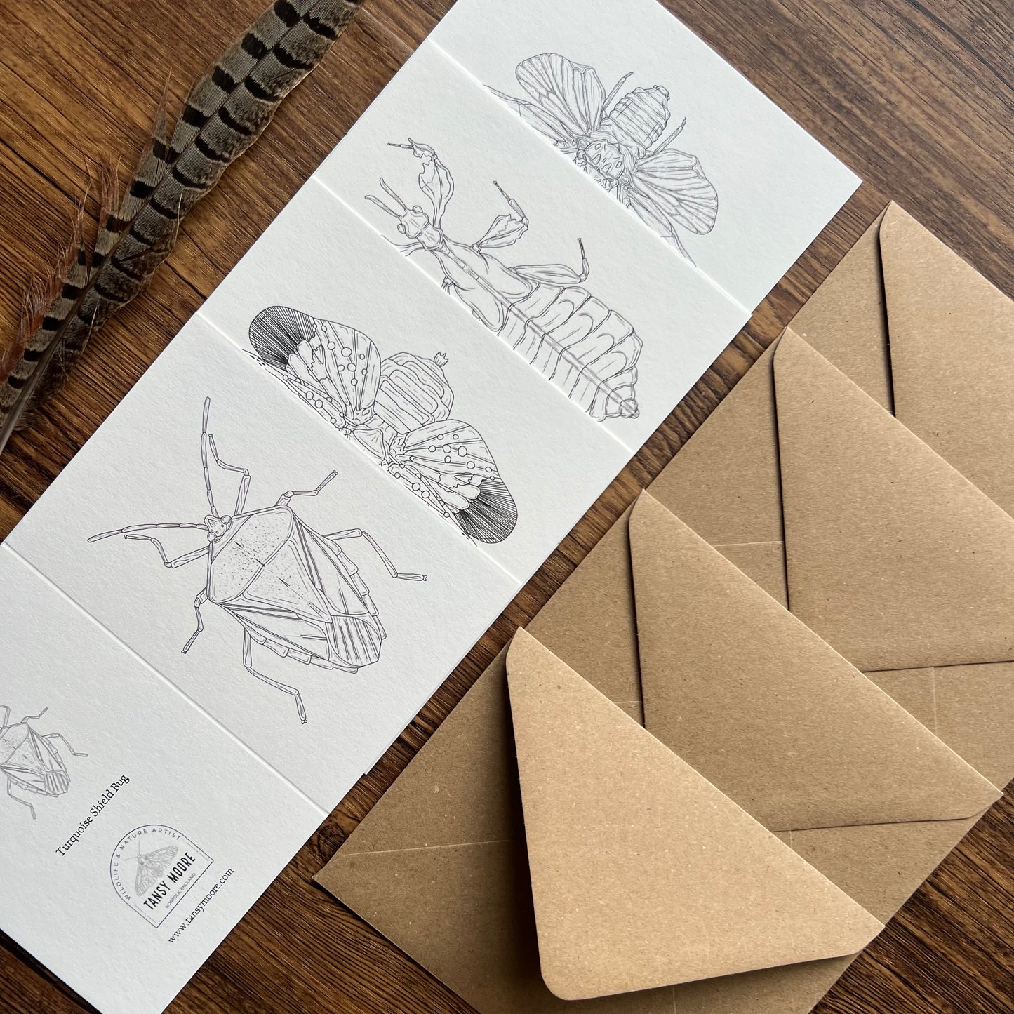 Insects Colouring in Card Set
