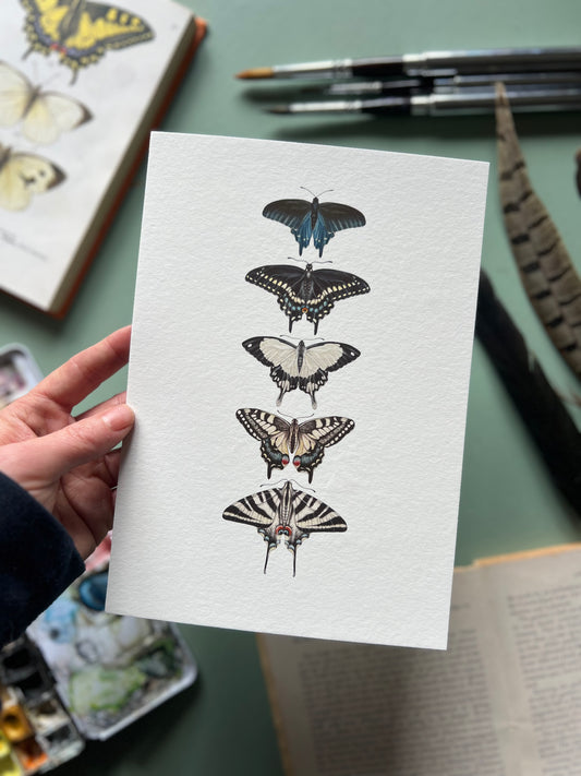 Swallowtail Species Print