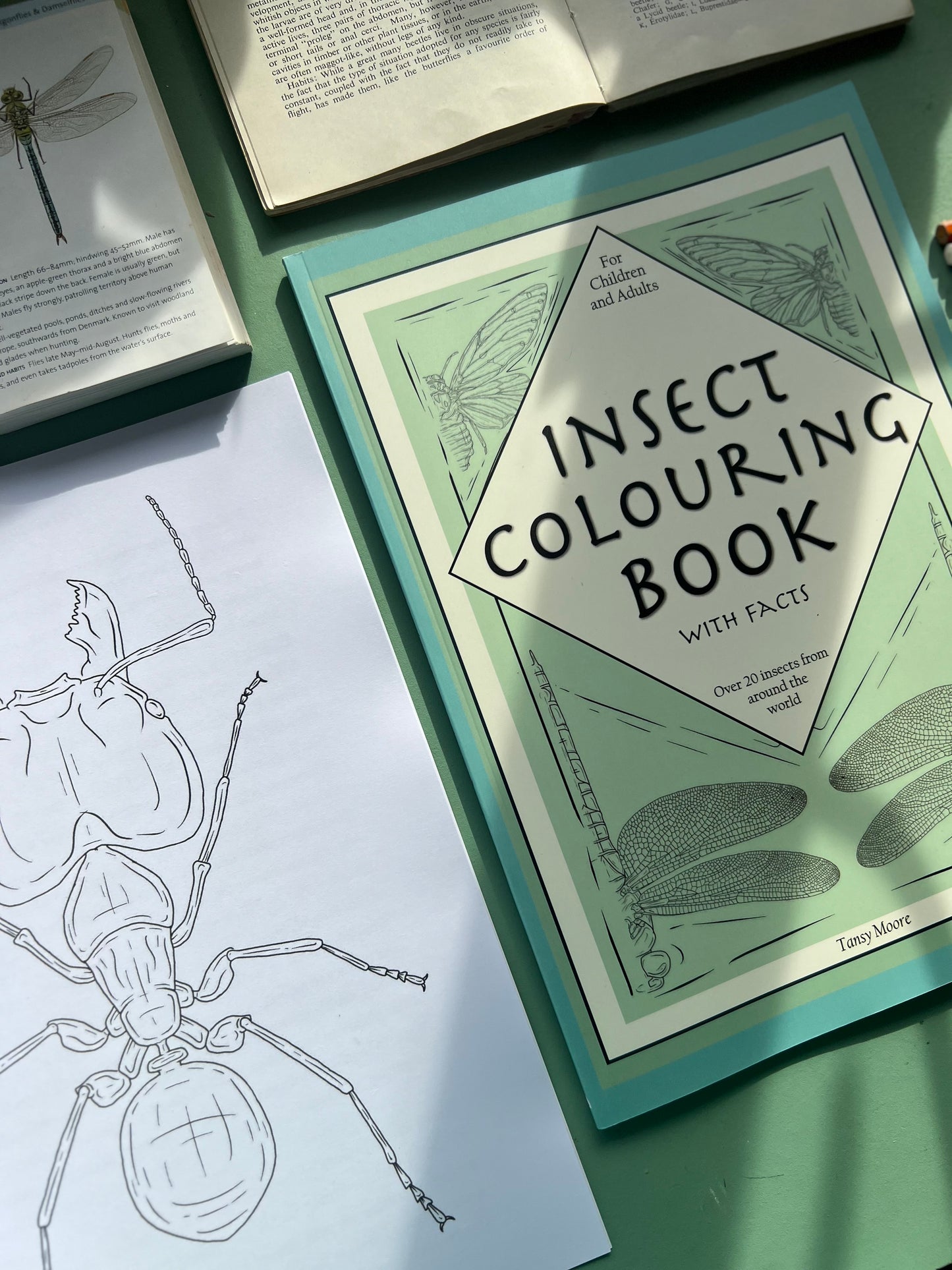 Factual Colouring Book