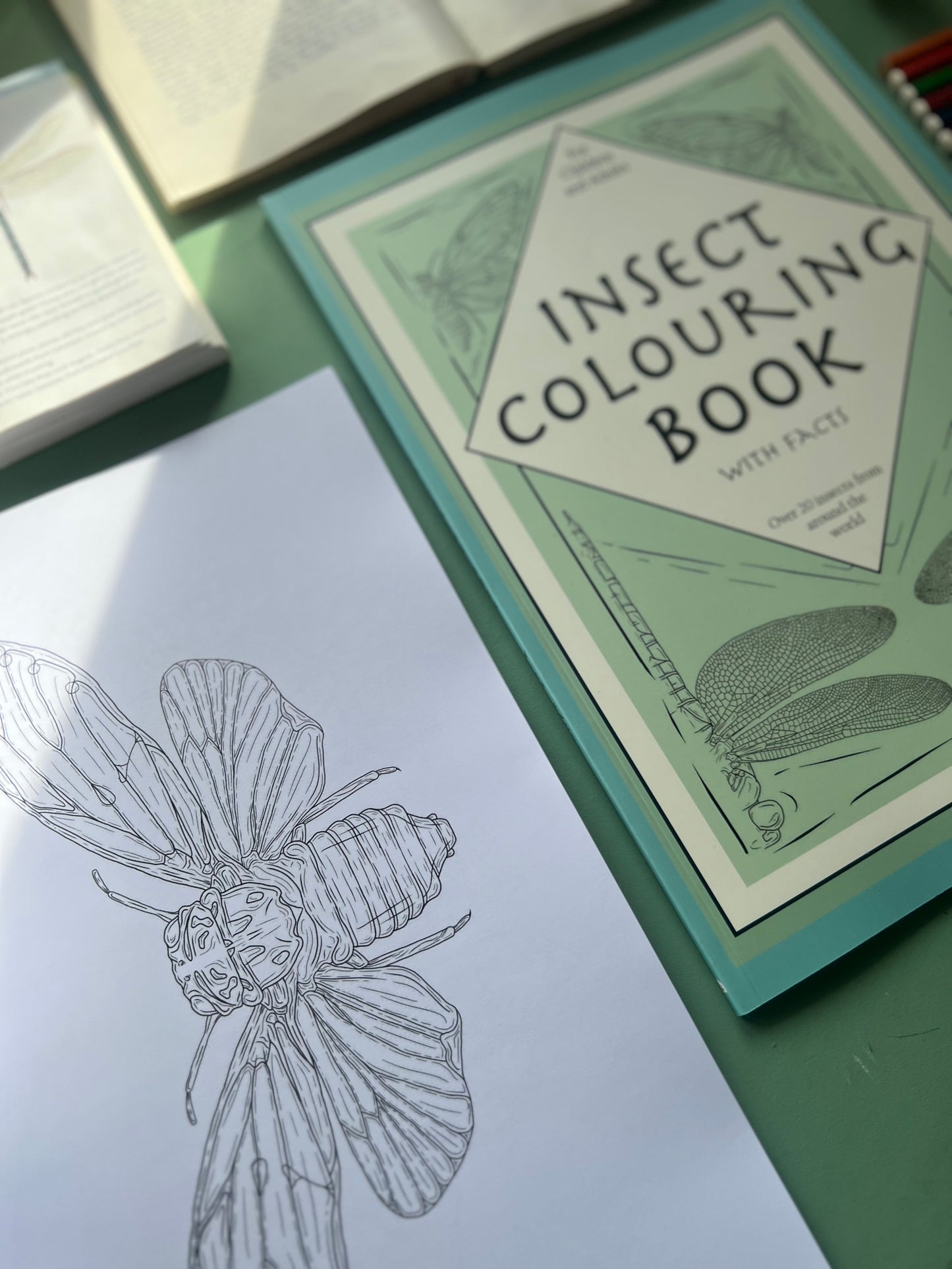 Factual Colouring Book