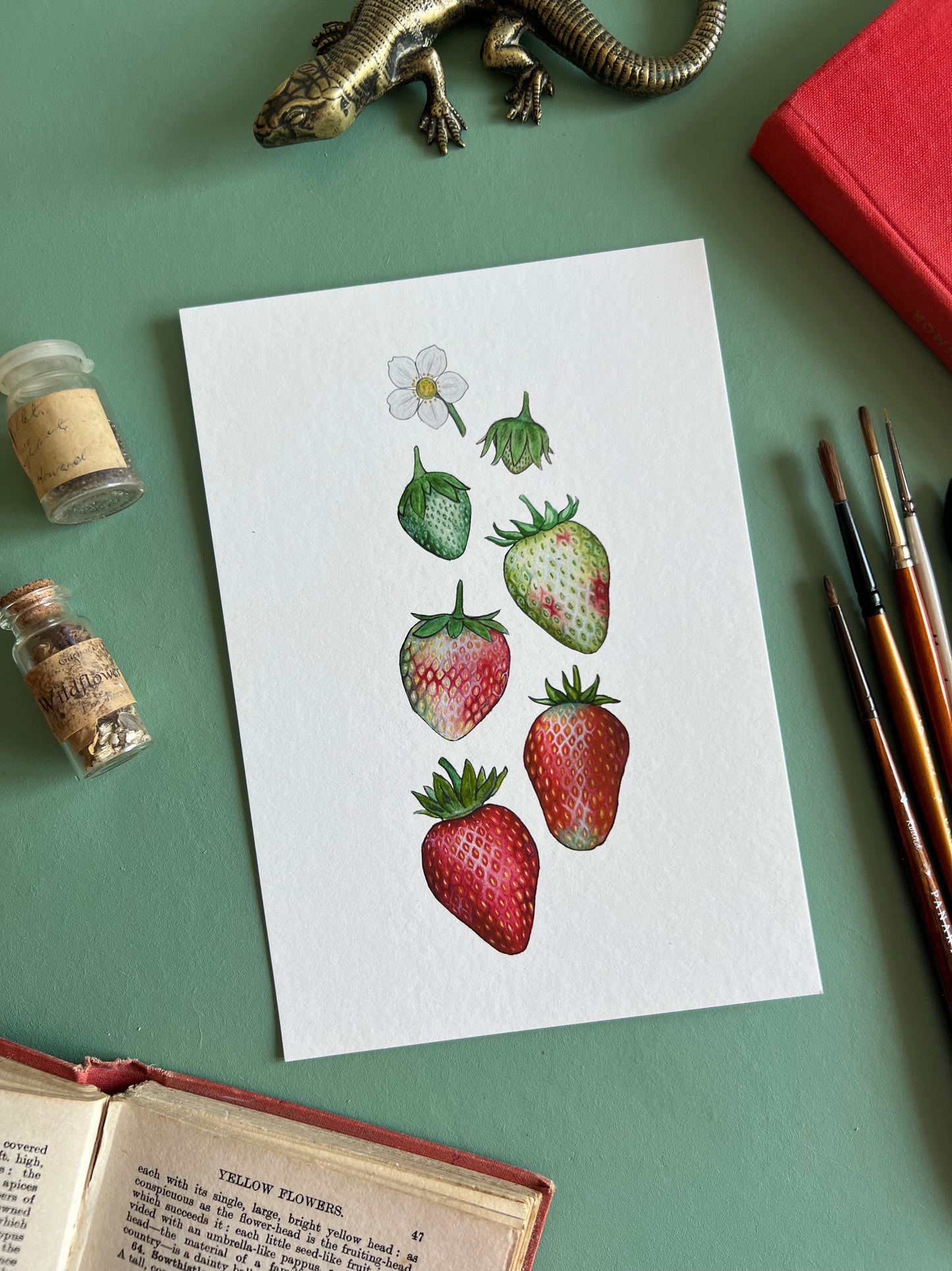 Ripening Strawberries Watercolour Print