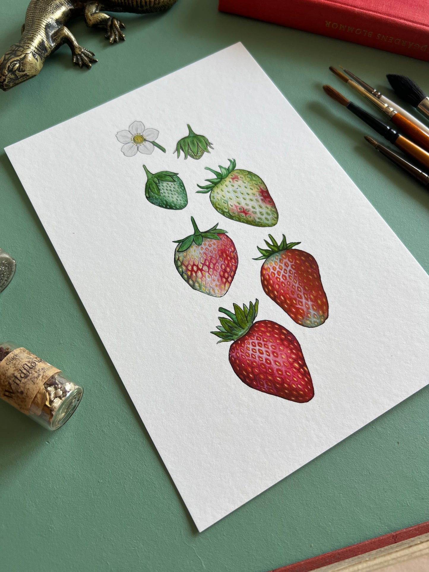 Ripening Strawberries Watercolour Print