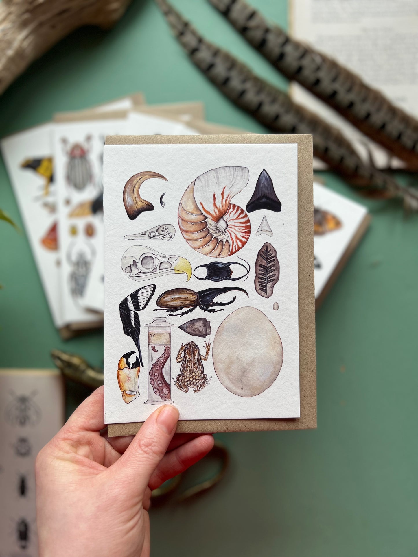 Natural Curiosities Card