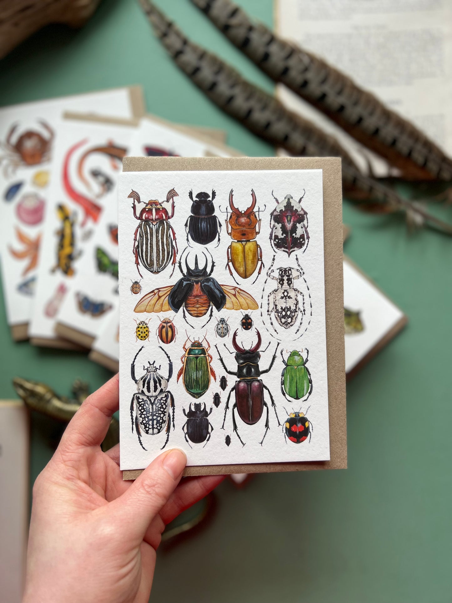 Beetles Card