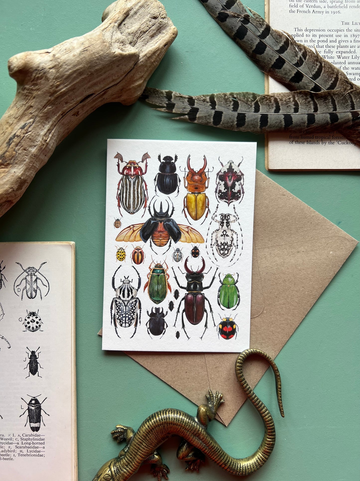 Beetles Card