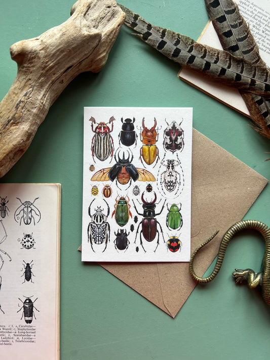 Beetles Card