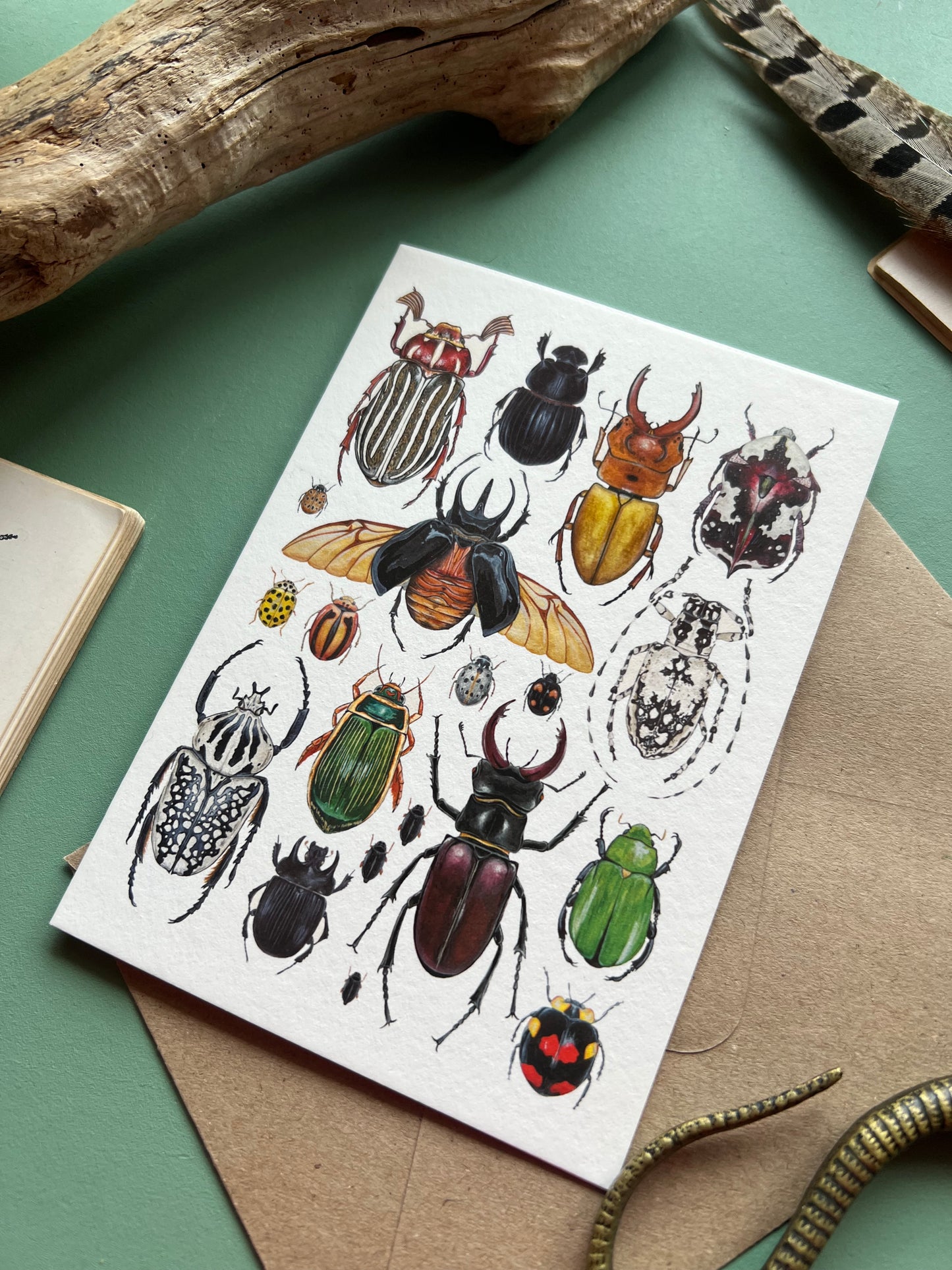 Beetles Card