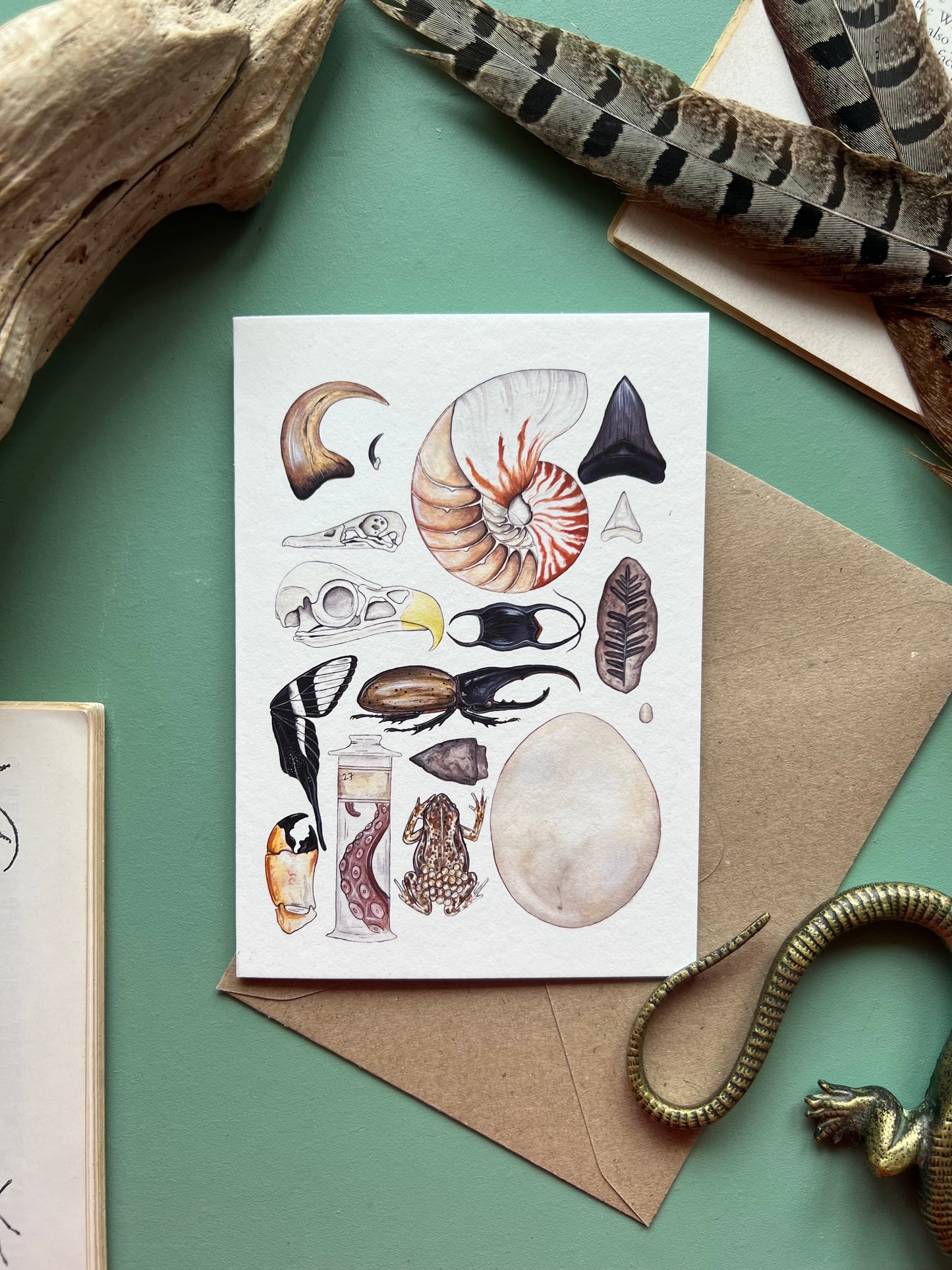 Natural Curiosities Card