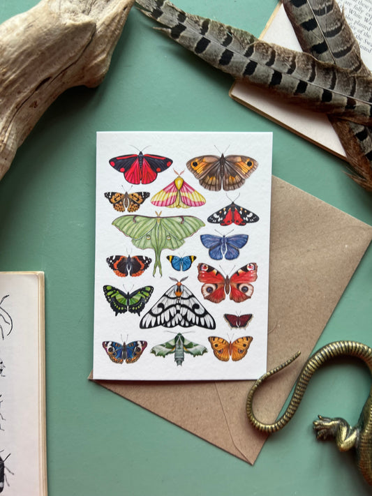 Butterflies and Moths Card