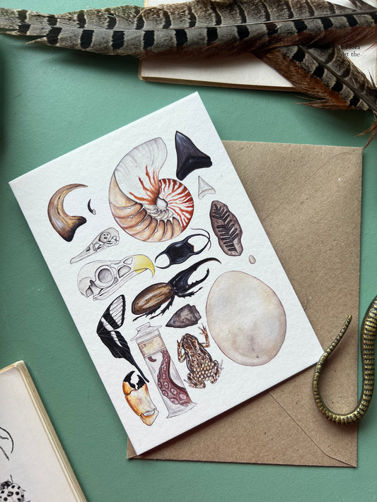 Natural Curiosities Card