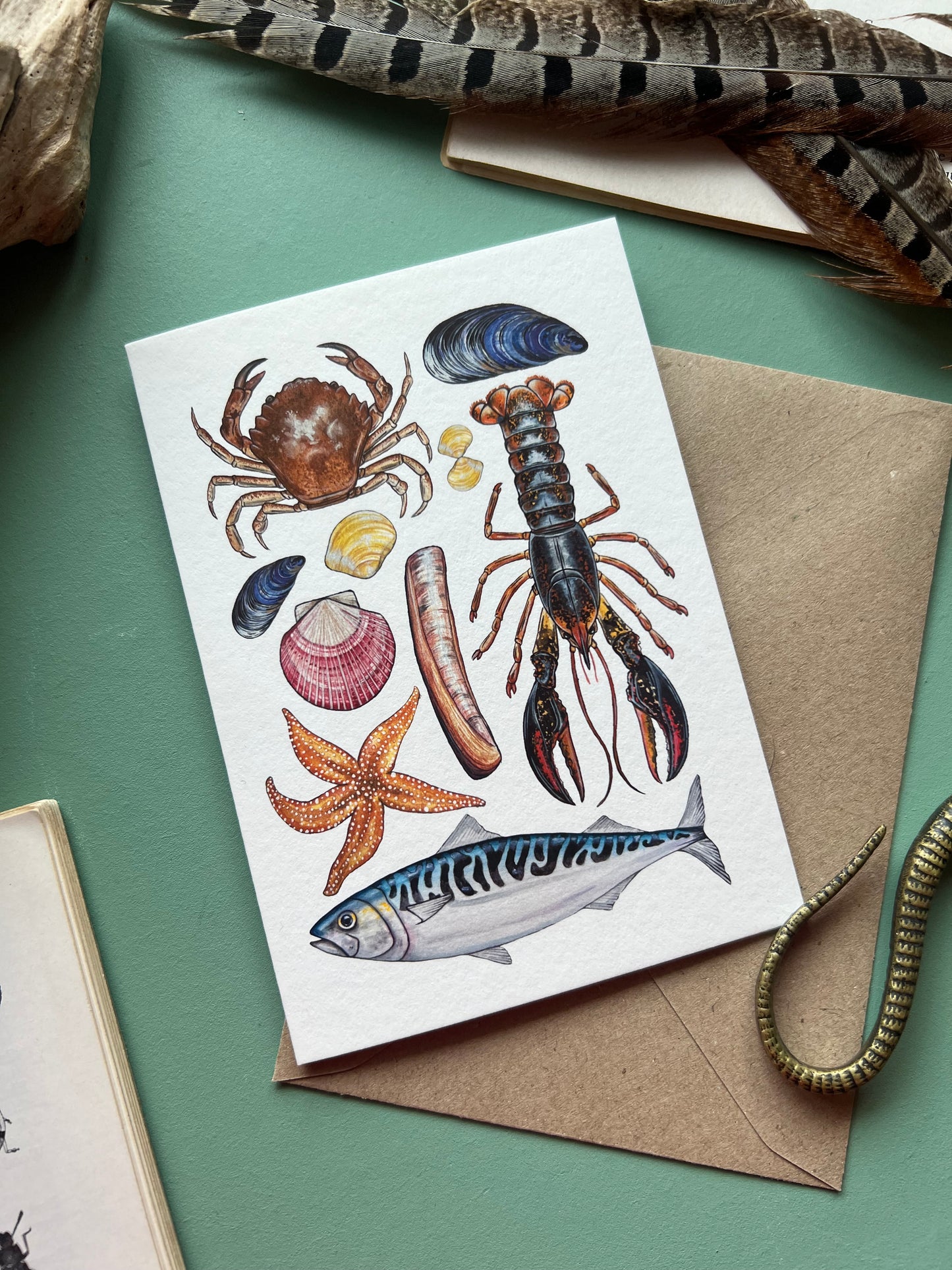 Marine Life Card