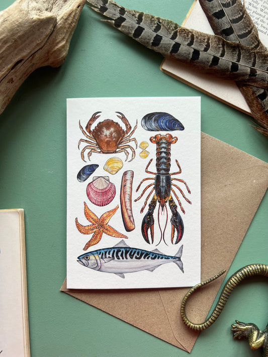 Marine Life Card