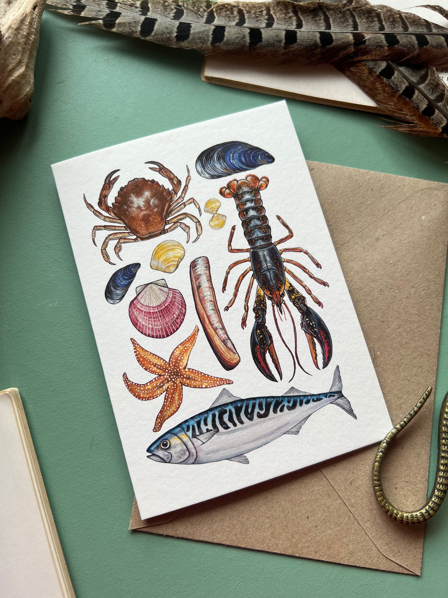 Marine Life Card