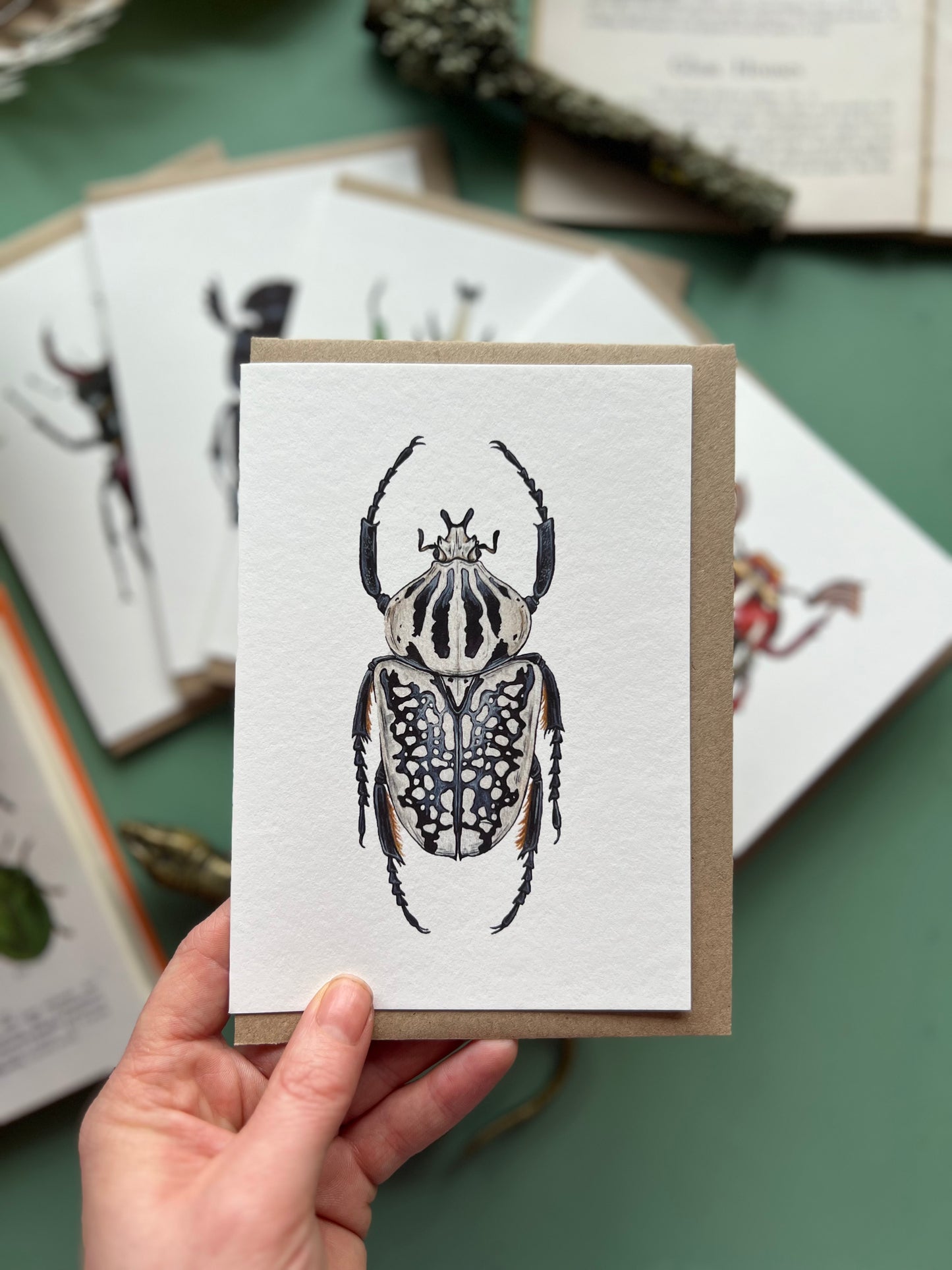 Beetle Card Set