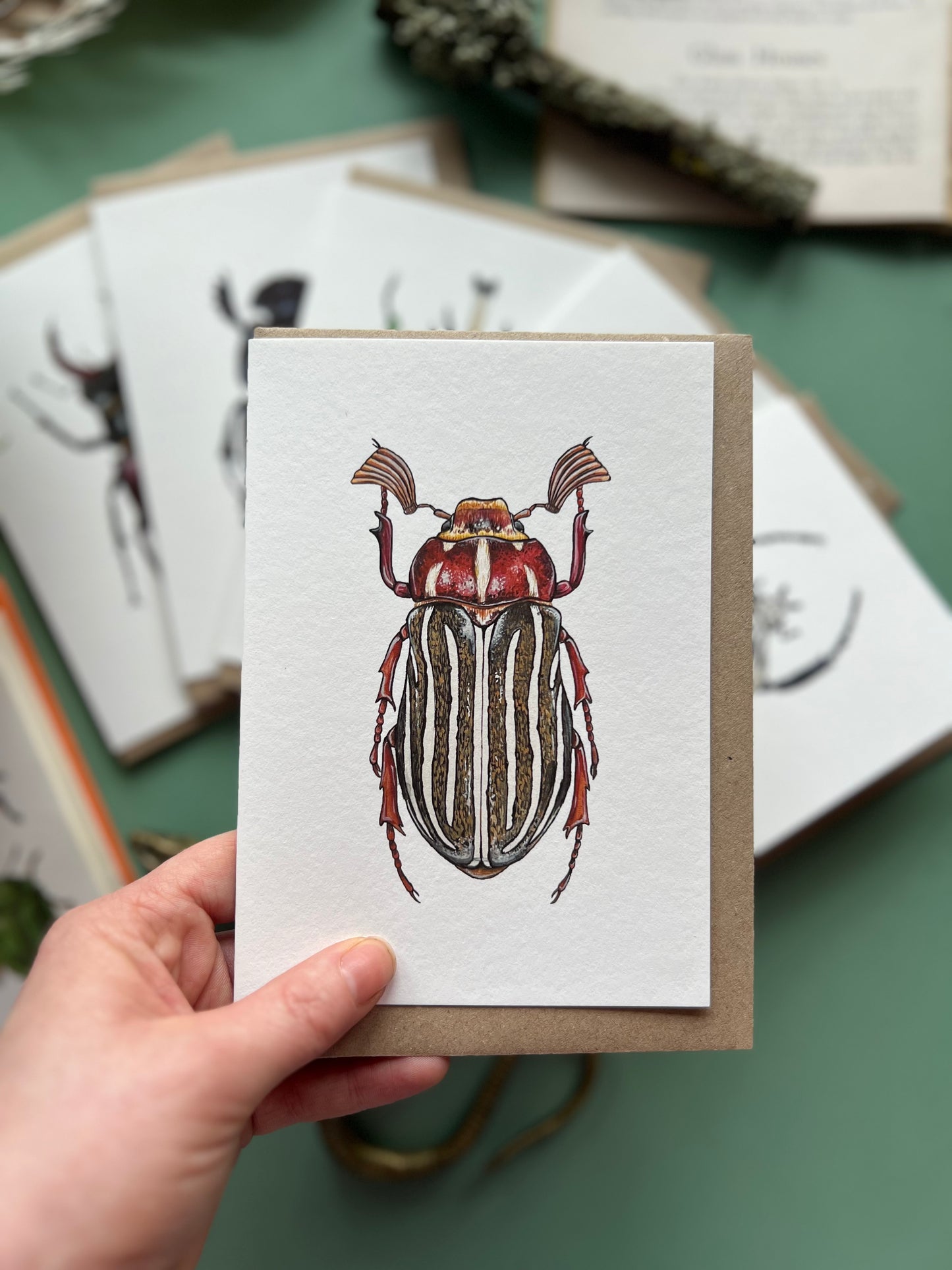 Beetle Card Set