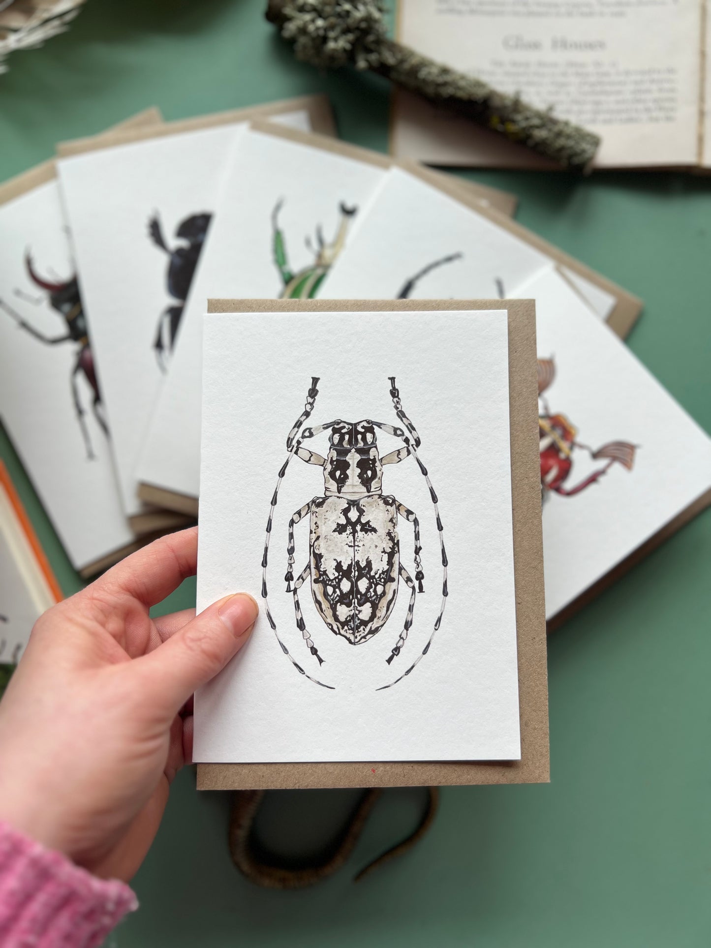 Beetle Card Set