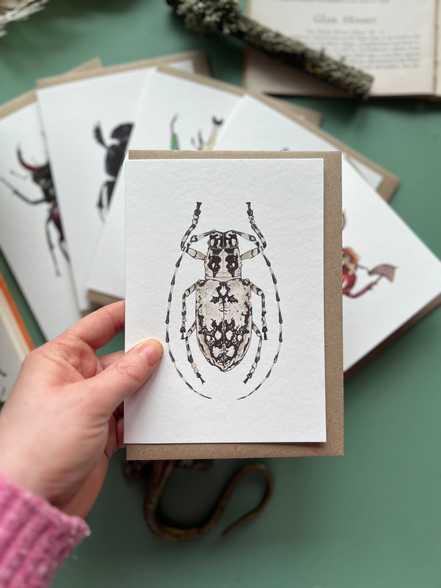 Beetle Card Set