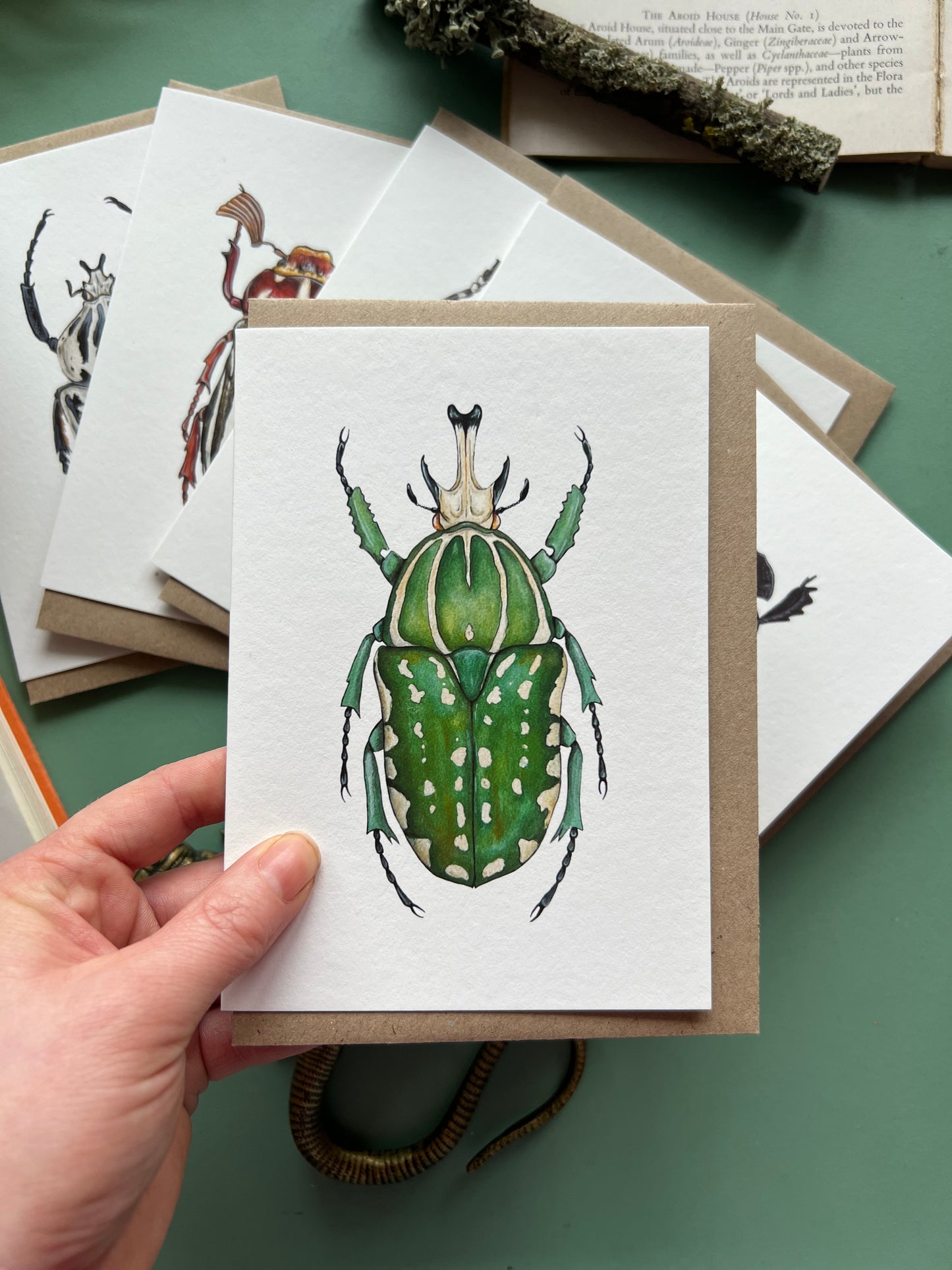 Beetle Card Set