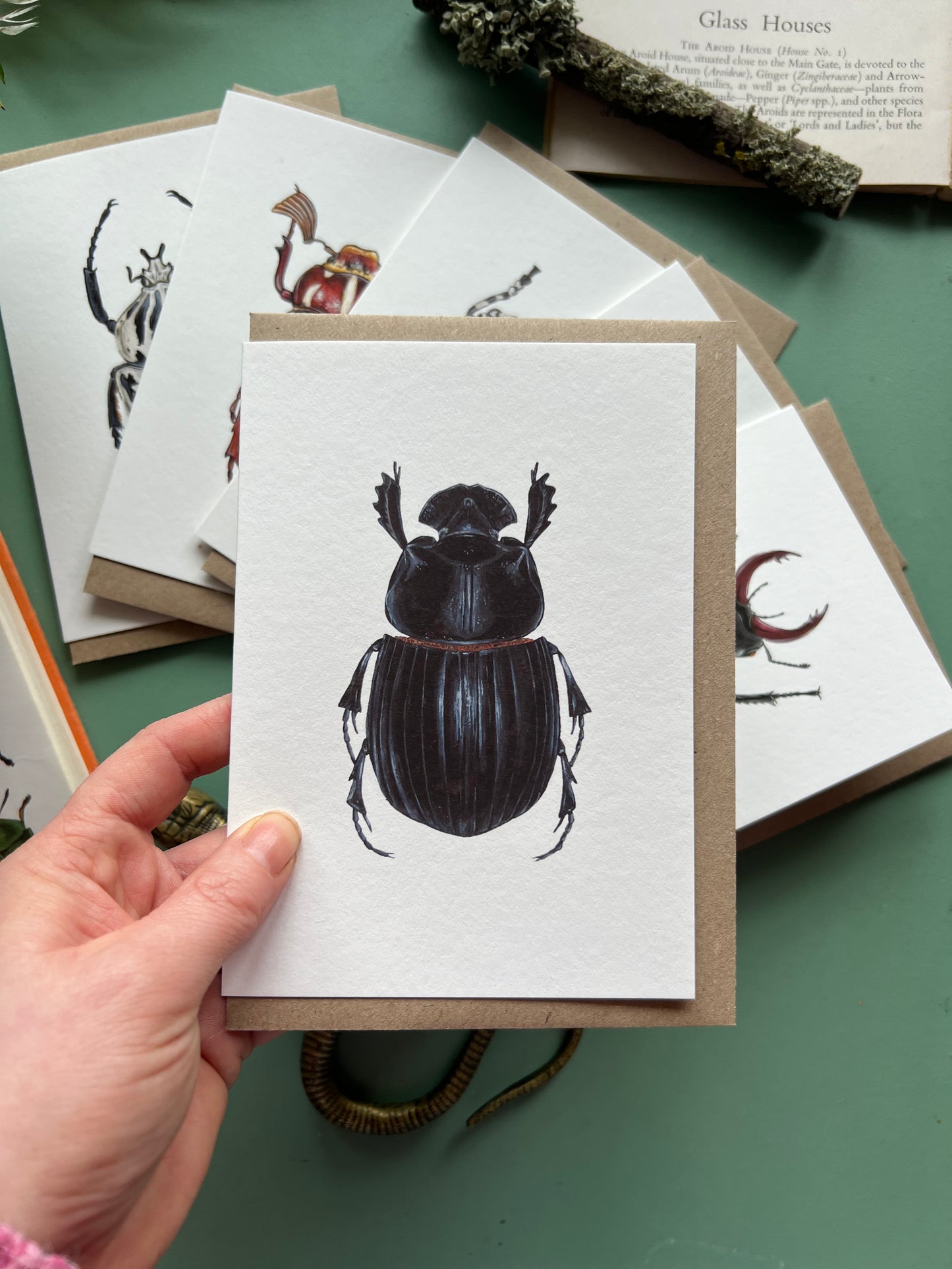 Beetle Card Set